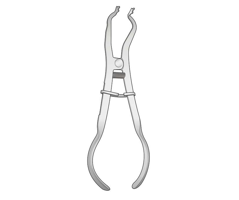 KOFFERDAMM-KLAMMERZANGE IVORY 170mm St