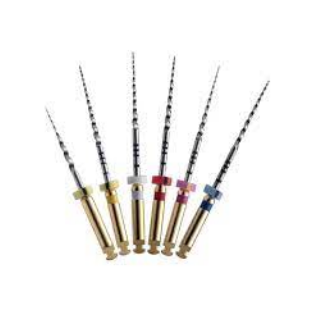 Endodontie